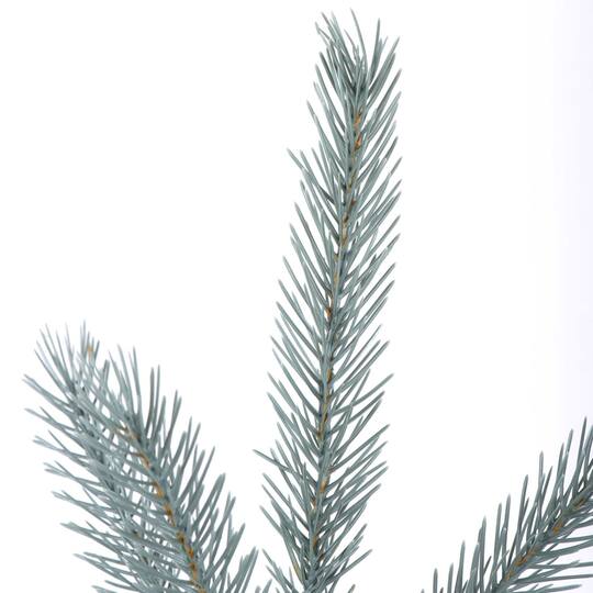 Blue Deluxe Spruce Picks Set